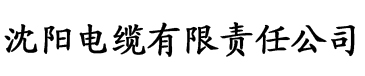 污污网站在线电缆厂logo